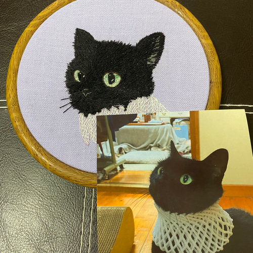 うちの子オーダー2025 猫とネームor猫とお花 手刺繍のフレーム その他