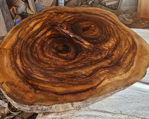 輪切り 一枚板 楠 赤楠 テーブル ダイニング テーブル 栃 座卓 杢