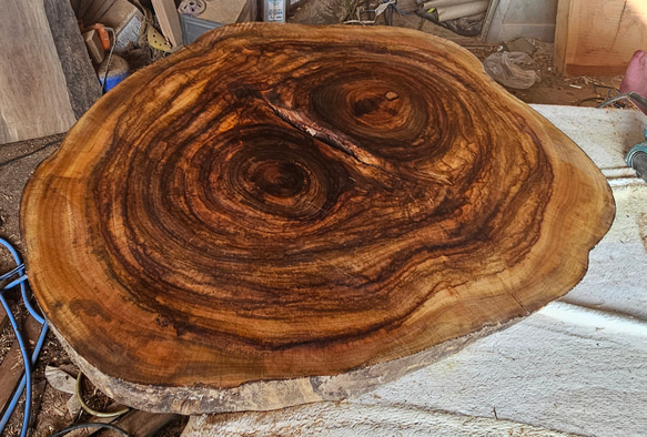 輪切り 一枚板 楠 赤楠 テーブル ダイニング テーブル 栃 座卓 杢