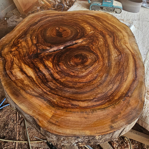 赤字です) 栃 一枚板テーブル 杢あり 新品/未使用 輪切り 一枚板