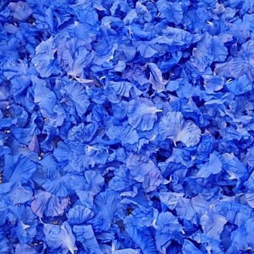 blue ever】ブルーエバー 天然あおばなのイヤリング(ガラス玉)草津