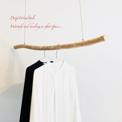 流木インテリア 端がY字の無骨な天然流木のハンガーフック 流木