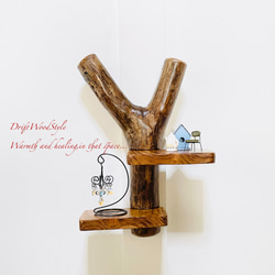 No.604⚜️流木ウォールシェルフミラー付き 流木インテリア 流木アート 鏡 No.604流木ウォールシェルフミラー付き 流木インテリア 流木