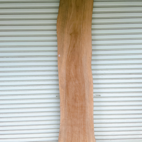 天然 楠木 木材 天板 無垢材 一枚板 テレビ台 ベンチ カウンター