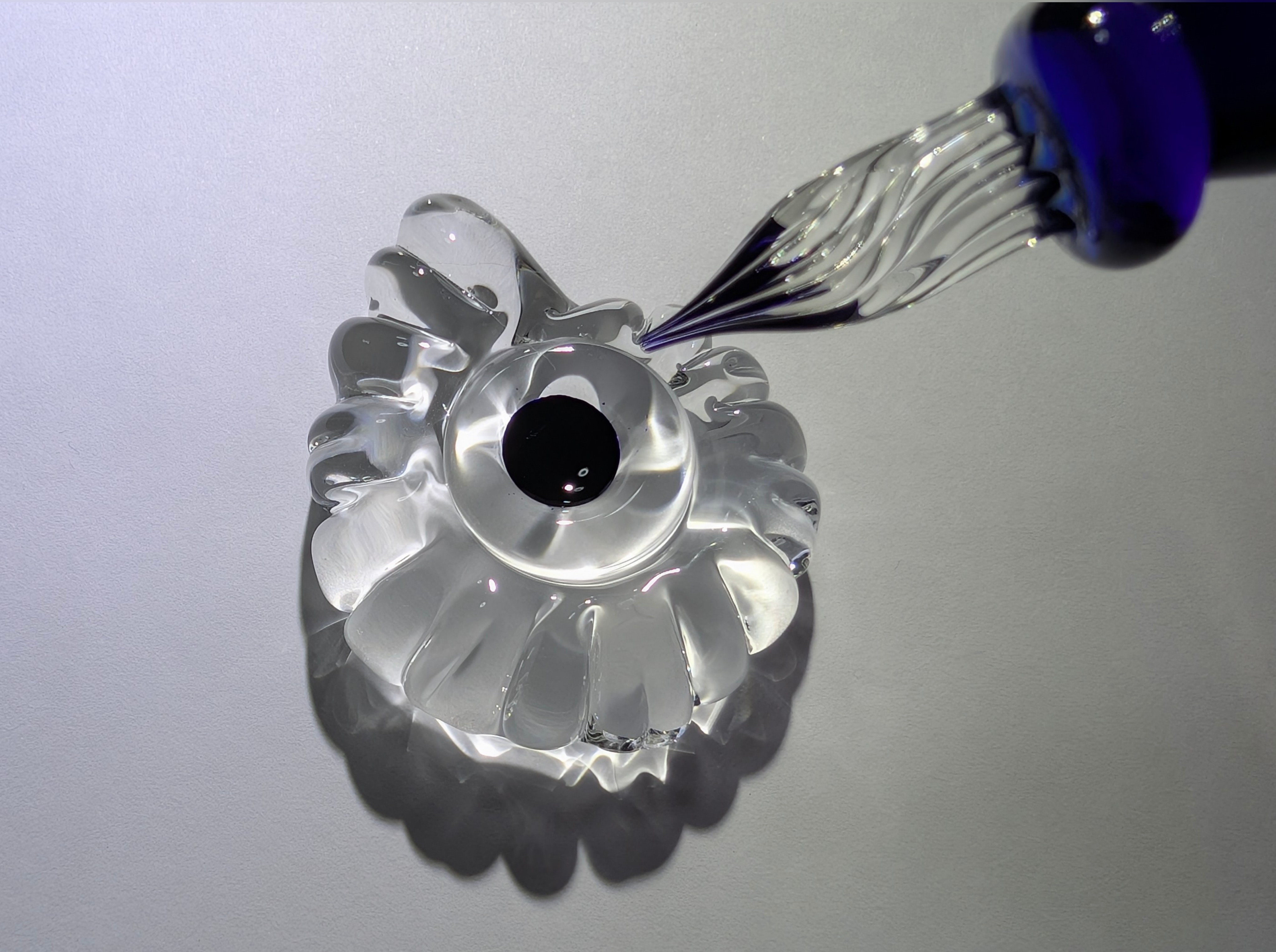 アンモナイト　ディッシュ