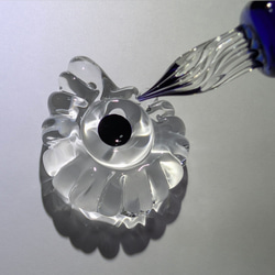 アンモナイト　ディッシュ 1枚目の画像