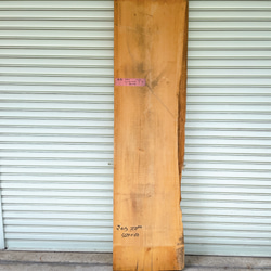 天然 イヌマキ DIY材 木材 天板 テレビ台 無垢材 カウンター