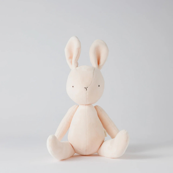 うさぎのぬいぐるみ　作家さま ₊˚ . ぬいぐるみたち5匹⸝⋆ ani♡Яさまへ⌒𖤐 @anir214shop