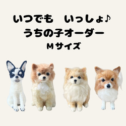 オーダー 羊毛フェルト のおすすめ人気通販｜Creema(クリーマ) 国内