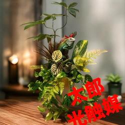 光触媒　人工観葉植物　ウォールグリーン　フェイクグリーン　ガジュマル150 光触媒 人工観葉植物 ウォールグリーン フェイクグリーン