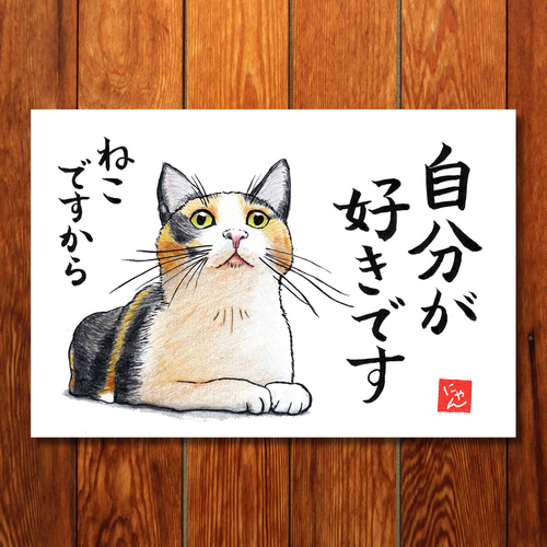 選べる「ねことば」ポストカード3枚セットC / 猫×筆文字アートで心