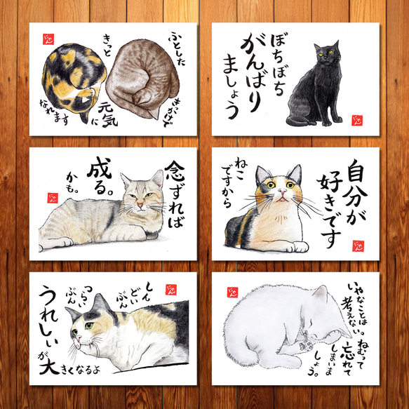 選べる「ねことば」ポストカード3枚セットC / 猫×筆文字アートで心