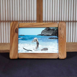 流木フォトフレーム－28 フォトフレーム・写真立て 金澤 尚 通販