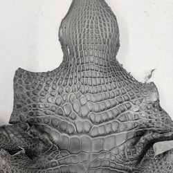 ワニ革　クレイフィニッシュ　墨黒　No.C008674 3枚目の画像