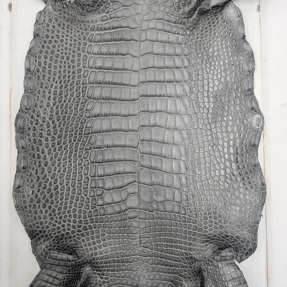 ワニ革　クレイフィニッシュ　墨黒　No.C008674 4枚目の画像