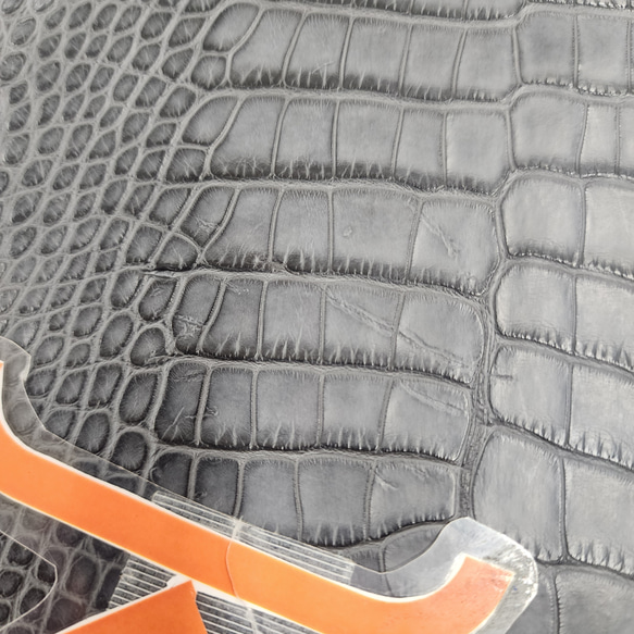 ワニ革　クレイフィニッシュ　墨黒　No.C008674 10枚目の画像