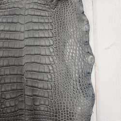 ワニ革　クレイフィニッシュ　墨黒　No.C008674 12枚目の画像