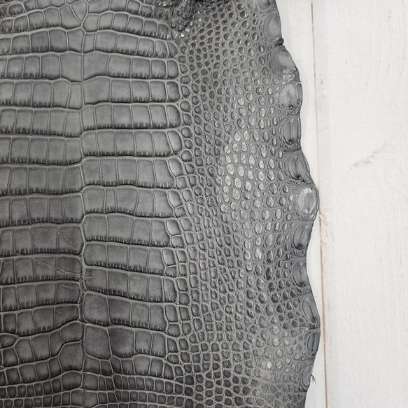ワニ革　クレイフィニッシュ　墨黒　No.C008674 12枚目の画像