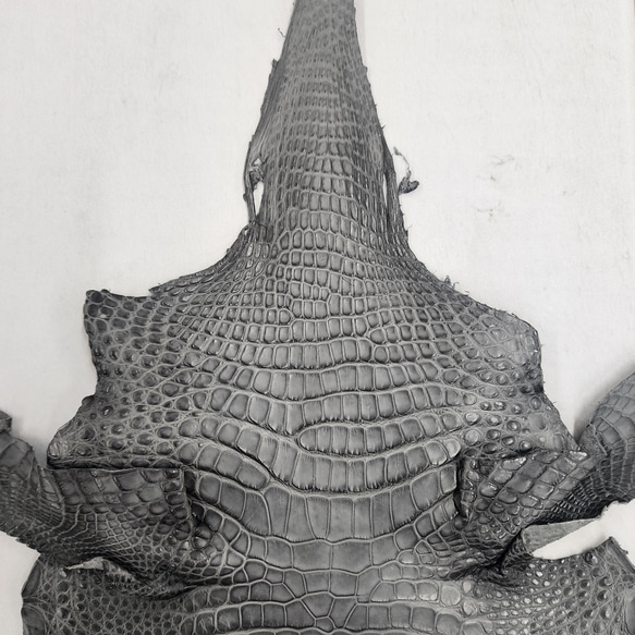 ワニ革　クレイフィニッシュ　墨黒　No.C008675 3枚目の画像