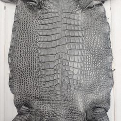 ワニ革　クレイフィニッシュ　墨黒　No.C008676 4枚目の画像