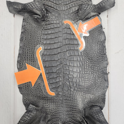 ワニ革　クレイフィニッシュ　墨黒　No.C008676 8枚目の画像