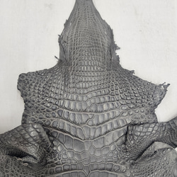 ワニ革　クレイフィニッシュ　墨黒　No.C008676 3枚目の画像