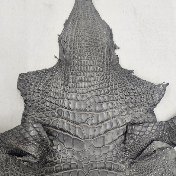 ワニ革　クレイフィニッシュ　墨黒　No.C008676 3枚目の画像