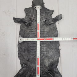 ワニ革　クレイフィニッシュ　墨黒　No.C008676 6枚目の画像