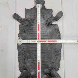 ワニ革　クレイフィニッシュ　墨黒　No.C008677 6枚目の画像