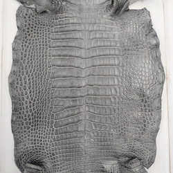 ワニ革　クレイフィニッシュ　墨黒　No.C008677 4枚目の画像