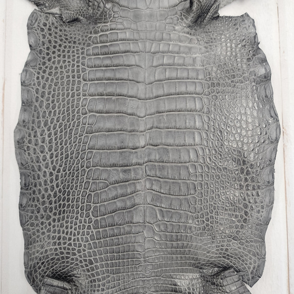 ワニ革　クレイフィニッシュ　墨黒　No.C008677 4枚目の画像