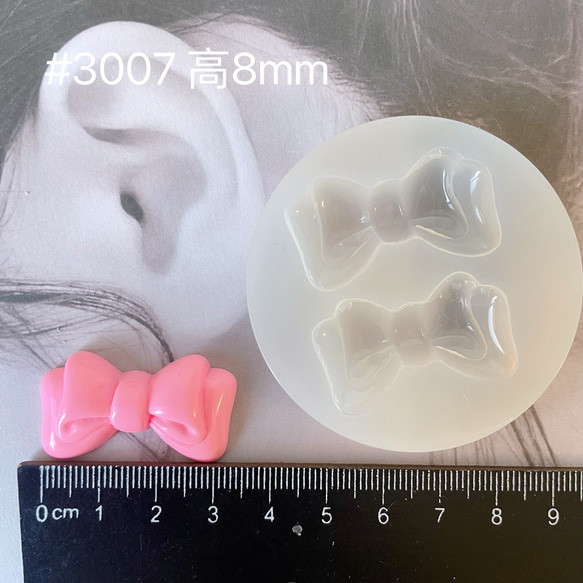 Summary 10種類→リボンMサイズ・シリコンモールド　 No.2128173311 6枚目の画像