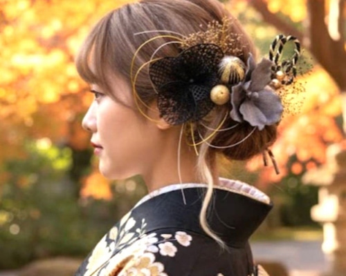 ○和装 髪飾り♥ 成人式用髪飾り 結婚式 卒業式 七五三 胡蝶蘭 高級