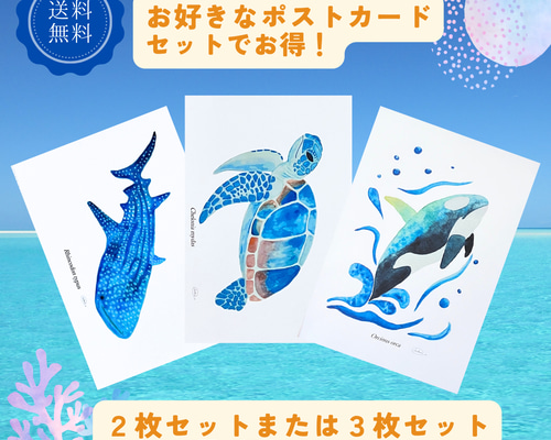 ポストカード おしゃれ アート デザイン イラスト グラフィック