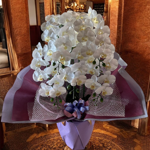 光触媒　人工観葉植物　ウォールグリーン　フェイクグリーン　リアル胡蝶蘭w' 光触媒 人工観葉植物 ウォールグリーン フェイクグリーン リアル胡蝶蘭