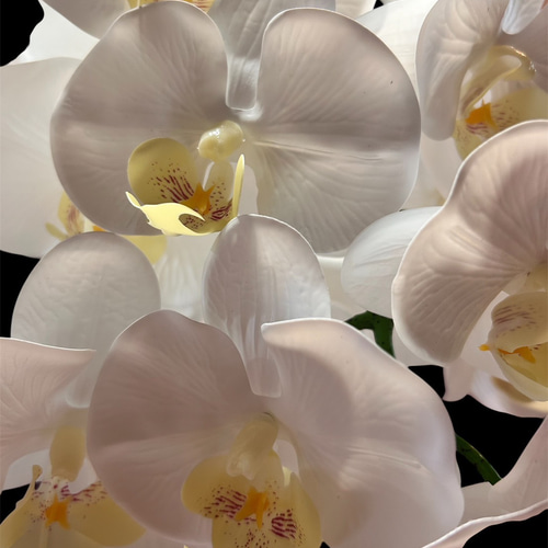 光触媒 人工観葉植物 ウォールグリーン フェイクグリーン リアル胡蝶蘭