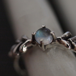 リーフとレインボームーンストーンのリング 5枚目の画像