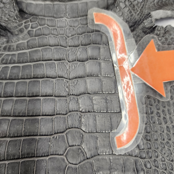 ワニ革　クレイフィニッシュ　墨黒　No.C008682 11枚目の画像