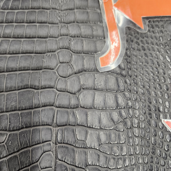 ワニ革　クレイフィニッシュ　墨黒　No.C008682 12枚目の画像