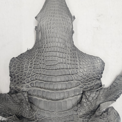 ワニ革　クレイフィニッシュ　墨黒　No.C008682 3枚目の画像