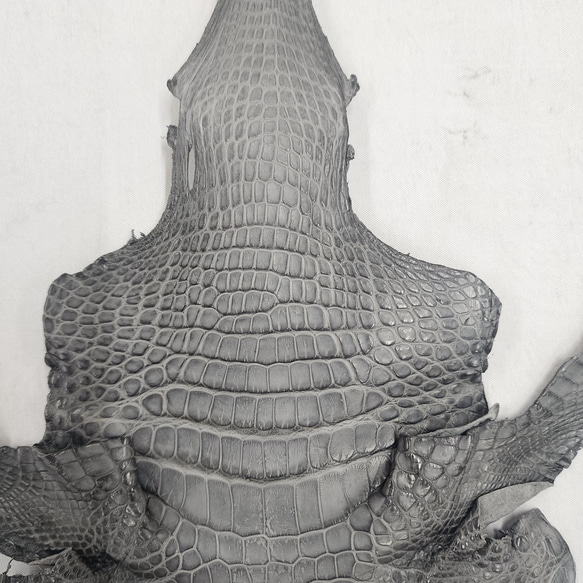 ワニ革　クレイフィニッシュ　墨黒　No.C008682 3枚目の画像