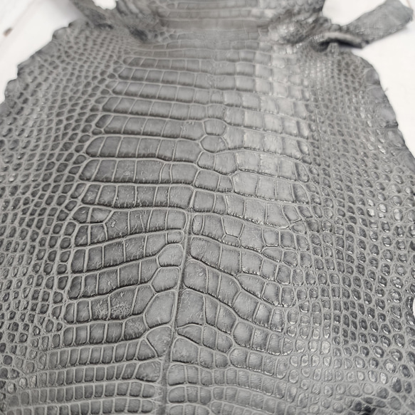 ワニ革　クレイフィニッシュ　墨黒　No.C008682 14枚目の画像