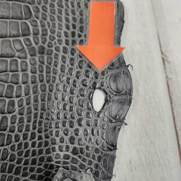 ワニ革　クレイフィニッシュ　墨黒　No.C008682 13枚目の画像