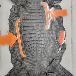 ワニ革　クレイフィニッシュ　墨黒　No.C008682 8枚目の画像