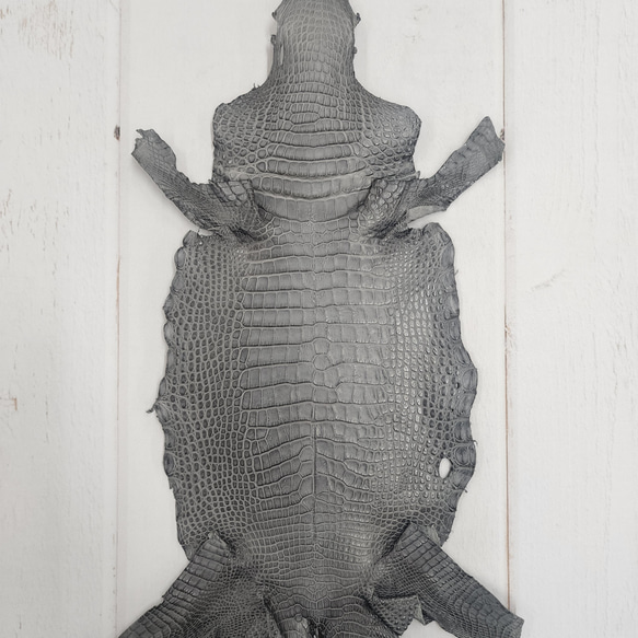 ワニ革　クレイフィニッシュ　墨黒　No.C008682 1枚目の画像