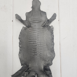 ワニ革　クレイフィニッシュ　墨黒　No.C008683 1枚目の画像