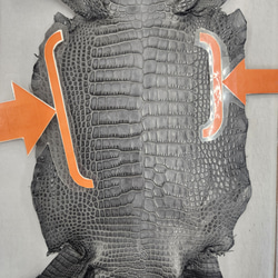 ワニ革　クレイフィニッシュ　墨黒　No.C008683 8枚目の画像