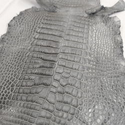 ワニ革　クレイフィニッシュ　墨黒　No.C008683 12枚目の画像