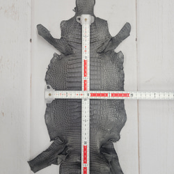 ワニ革　クレイフィニッシュ　墨黒　No.C008683 6枚目の画像