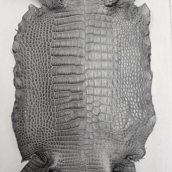 ワニ革　クレイフィニッシュ　墨黒　No.C008683 4枚目の画像